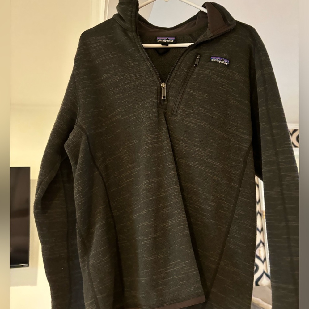 Patagonia Men Pullover: Woodland Green Color